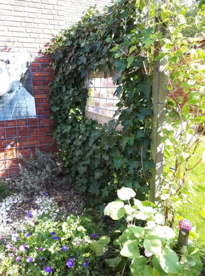Tuin Assen